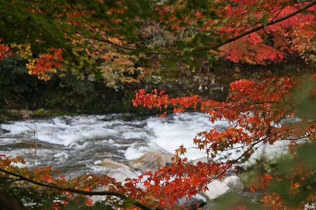 a0242438_19233528.jpg
