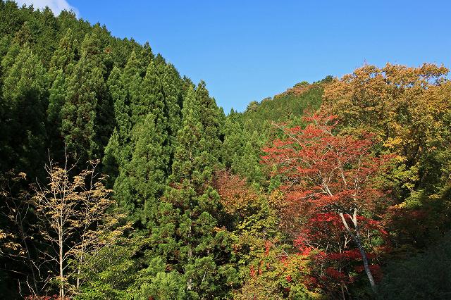 a0242438_19271881.jpg