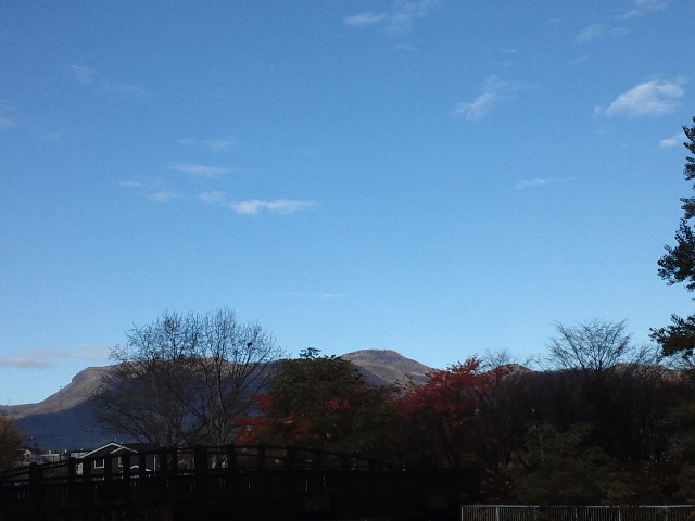 c0117239_10365391.jpg