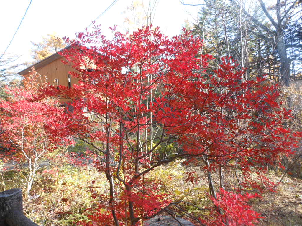 c0122744_23254284.jpg