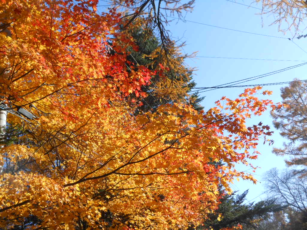 c0122744_2325589.jpg