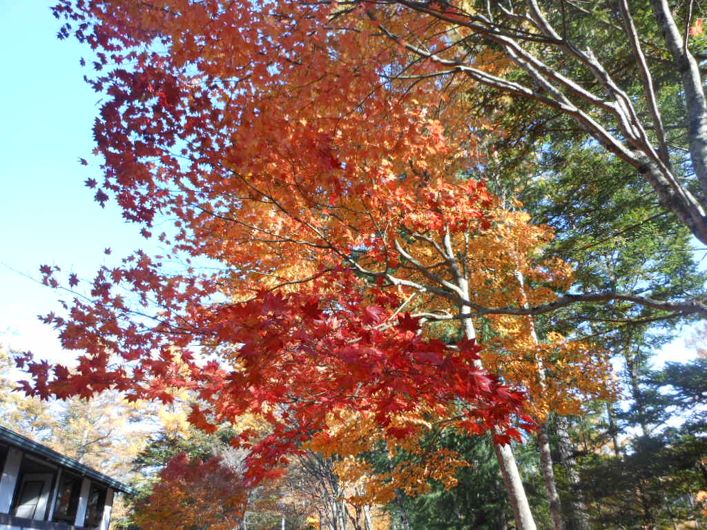 c0122744_23261968.jpg