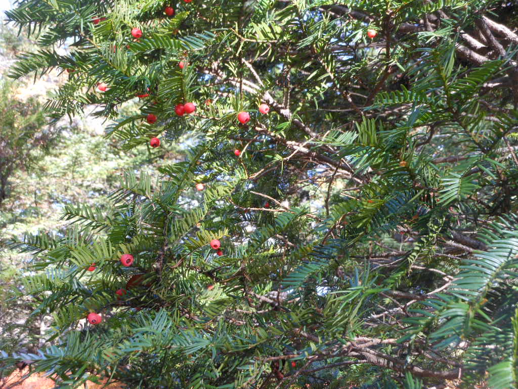 c0122744_232873.jpg