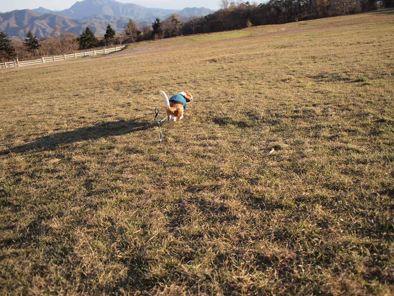 a0299945_7302156.jpg