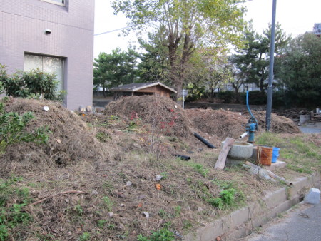 e0020945_7554828.jpg