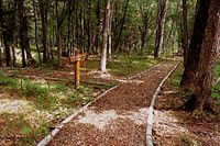 f0102245_16113523.jpg