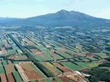 f0102245_16124021.gif
