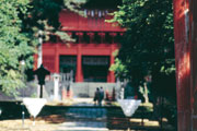 f0102245_1992824.jpg