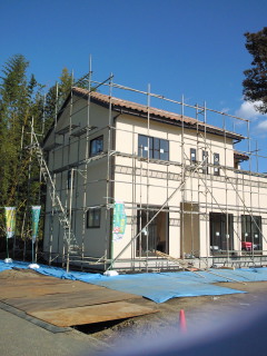 e0150849_1741116.jpg