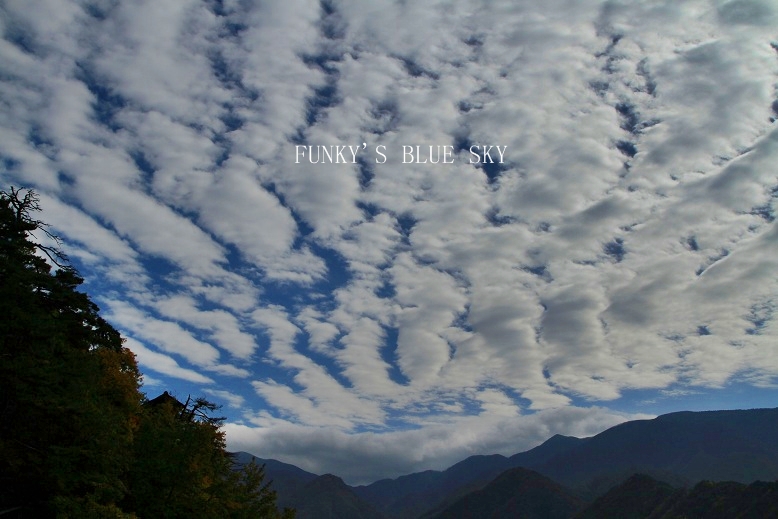 c0145250_940484.jpg