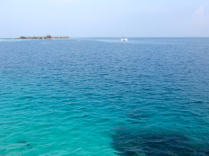 f0190653_1161575.jpg