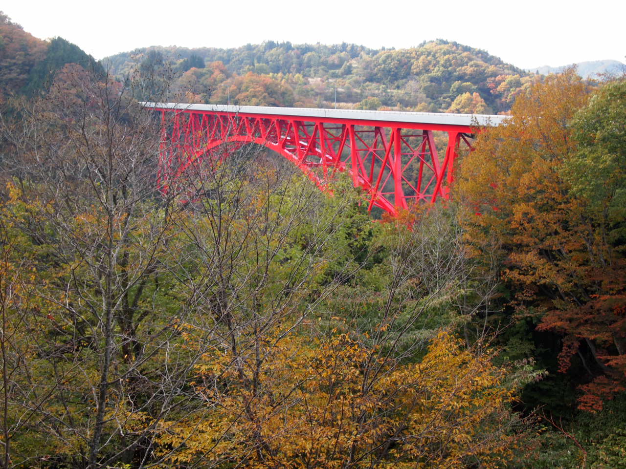 a0212656_1361938.jpg
