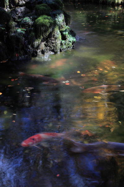 f0232758_1143679.jpg