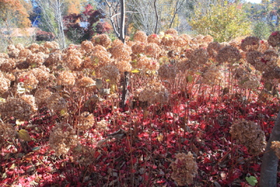 f0232758_22111021.jpg