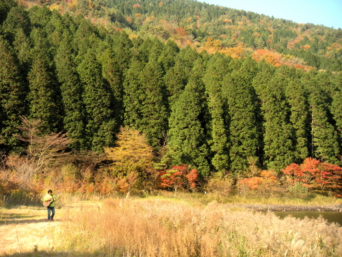b0164959_21215315.jpg