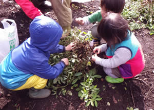 f0223360_18414130.jpg