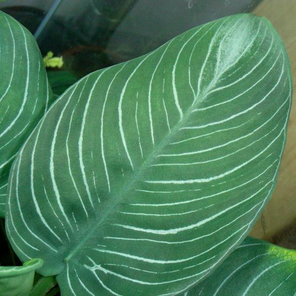 d0249970_2304278.jpg