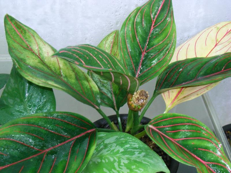 d0249970_2523533.jpg
