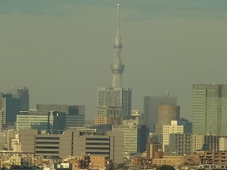 b0185771_1832493.jpg