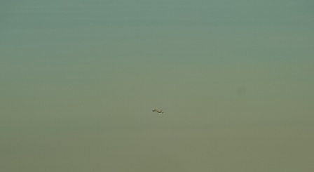 b0185771_18333536.jpg