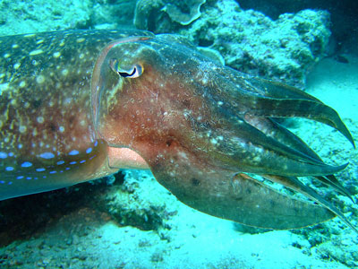 b0033573_084932.jpg