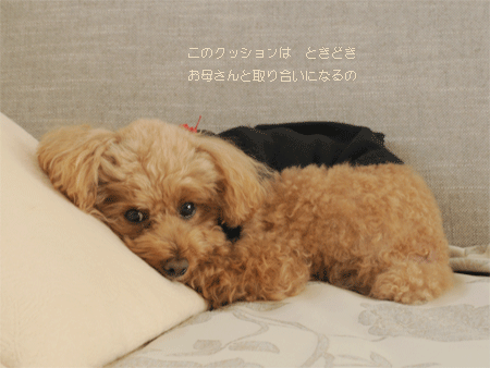 c0196673_1253771.gif