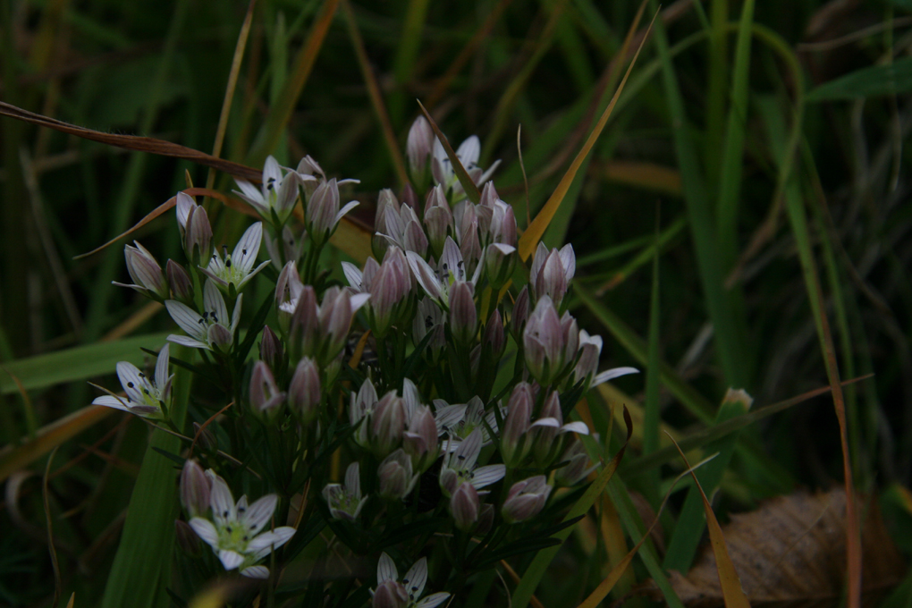 e0118274_23533426.jpg