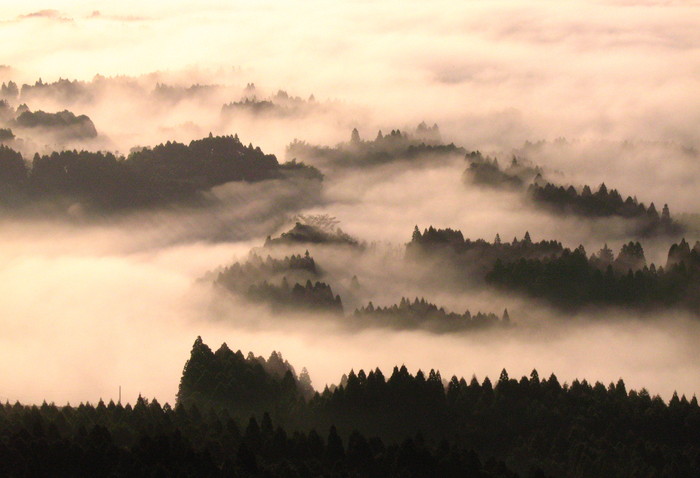 c0250376_1918476.jpg