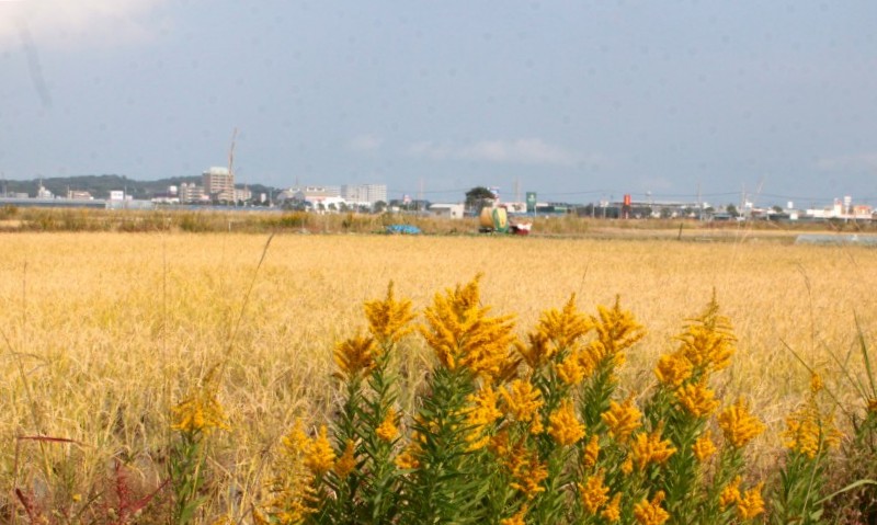 f0165677_20183877.jpg
