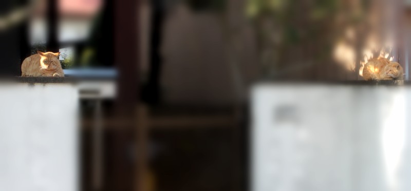 f0165677_20405657.jpg