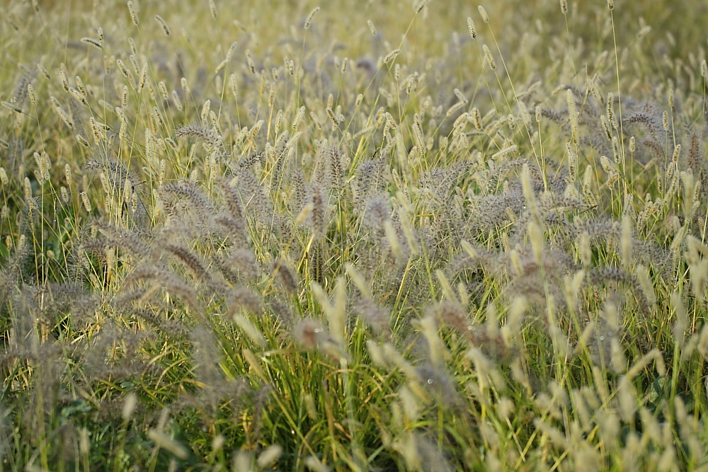 e0249878_22305640.jpg