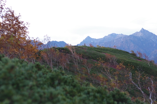 a0094280_1023676.jpg