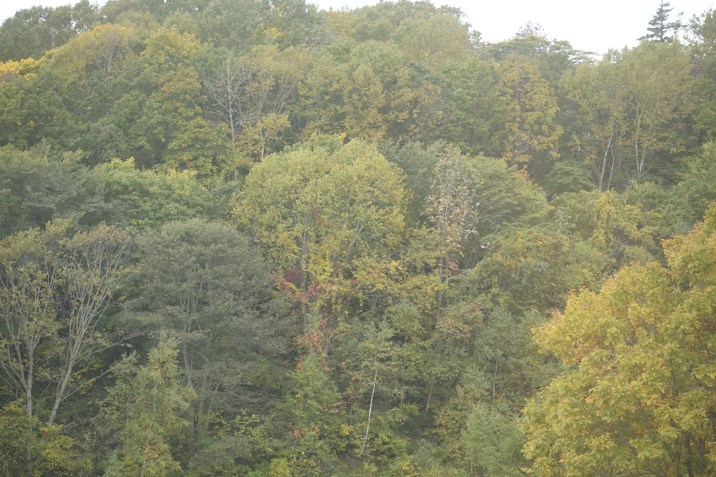 b0102780_6302792.jpg