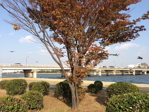 a0251786_2352398.jpg