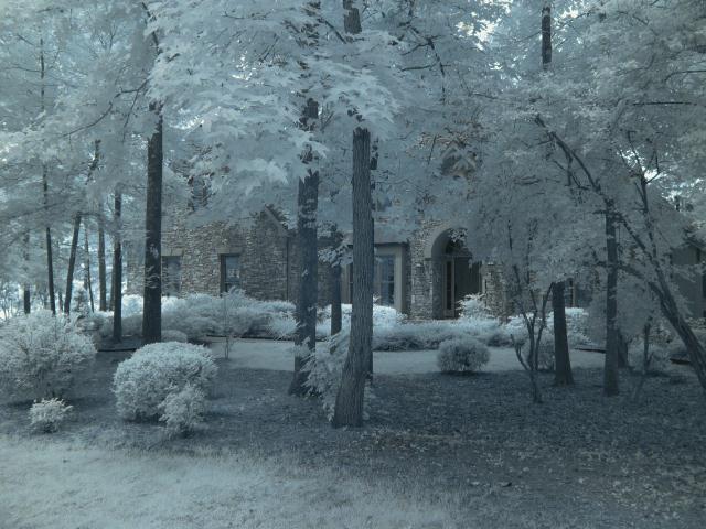 d0145790_1163988.jpg