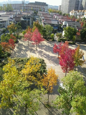 c0109891_1822368.jpg