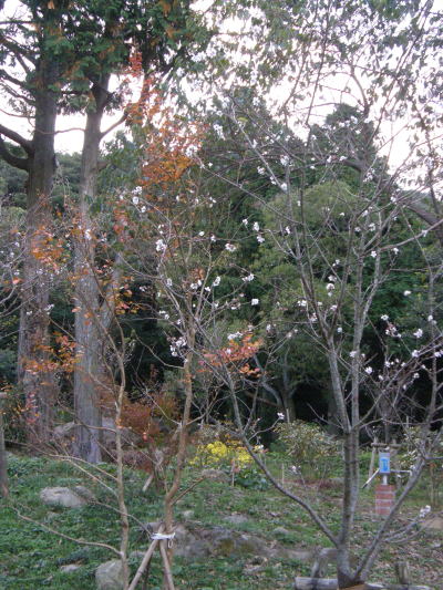 e0017396_21502978.jpg