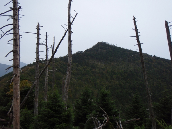 b0039898_936116.jpg