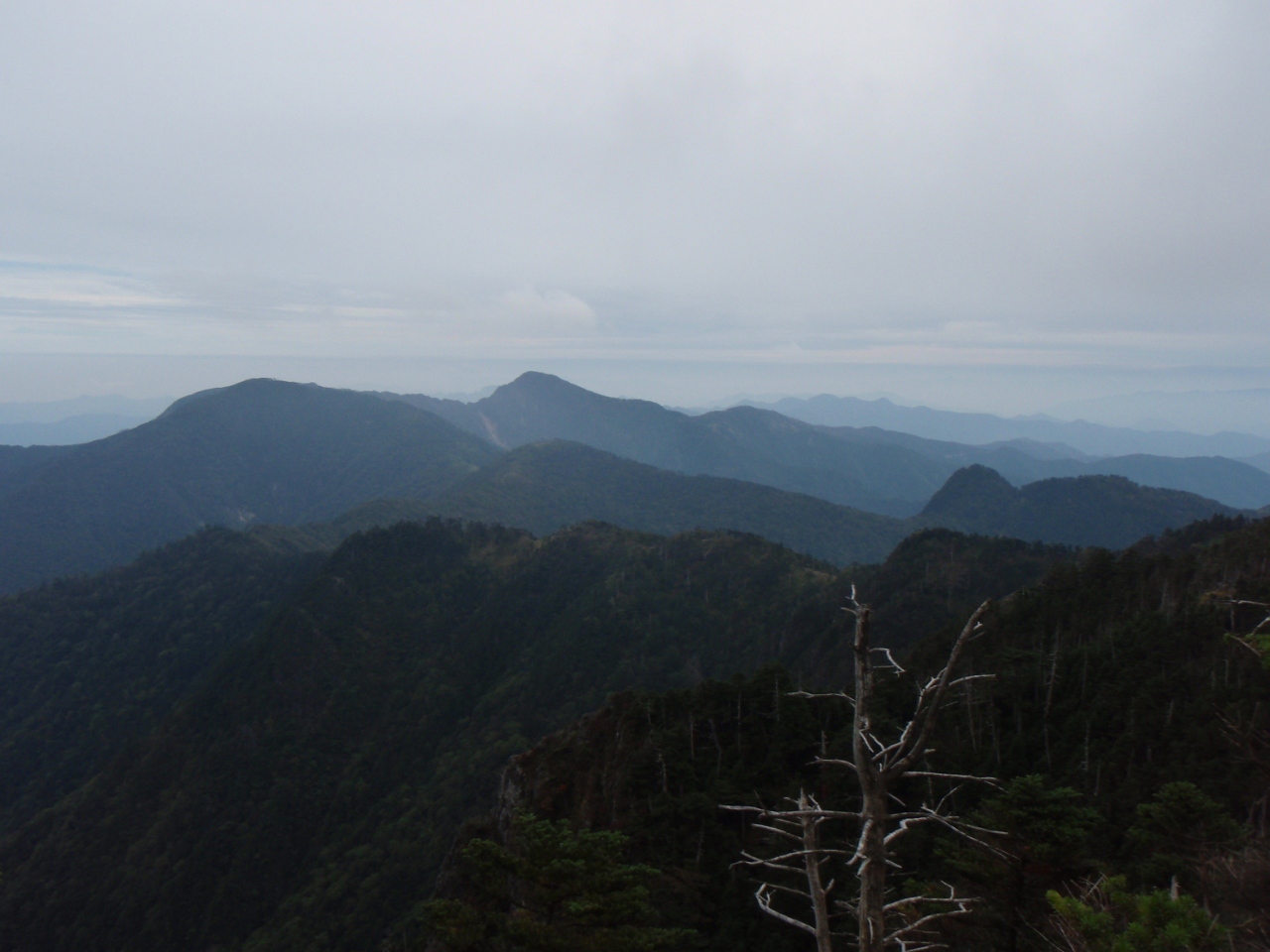 b0039898_937325.jpg