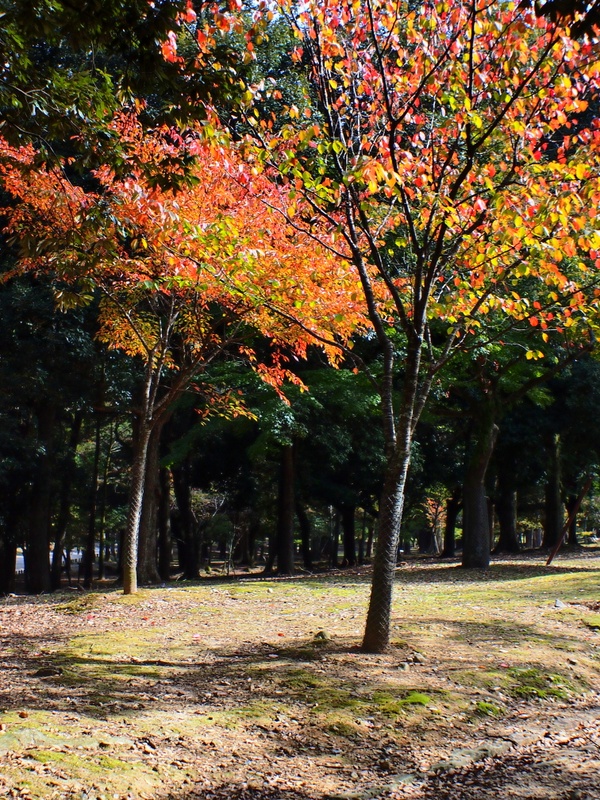 b0138101_23311360.jpg