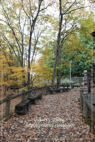 e0218001_1255717.jpg