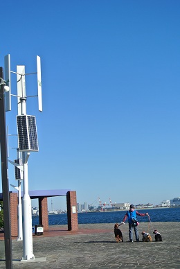a0134004_2356494.jpg