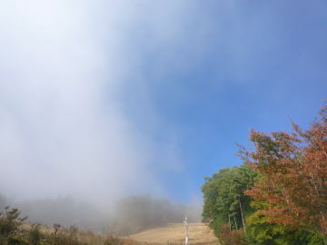 e0070606_2141429.jpg