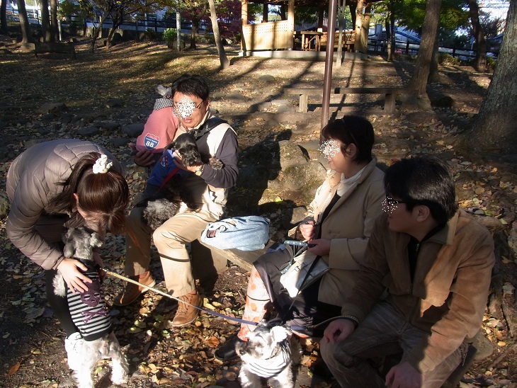 f0179209_10204912.jpg