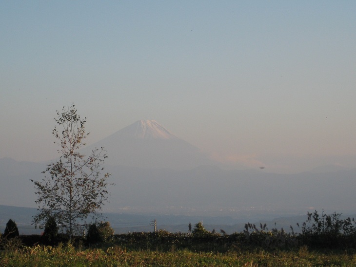 f0179209_10232421.jpg