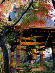 c0248013_20372483.jpg