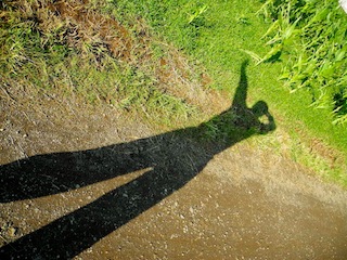 c0248013_2054677.jpg