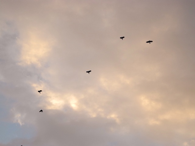 c0248013_216387.jpg