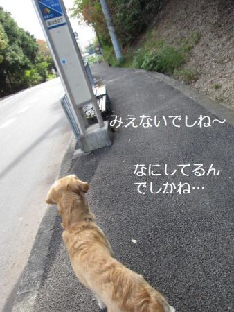 b0008217_22291150.jpg
