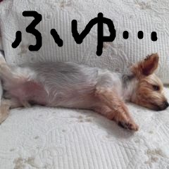 c0036617_6554060.jpg